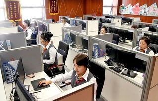 政企民共商，服務(wù)再升級(jí)——市區(qū)政務(wù)服務(wù)局召開(kāi)企業(yè)咨詢服務(wù)專題調(diào)研會(huì)